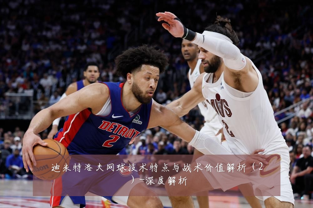迪米特洛夫网球技术特点与战术价值解析(2)-深度解析