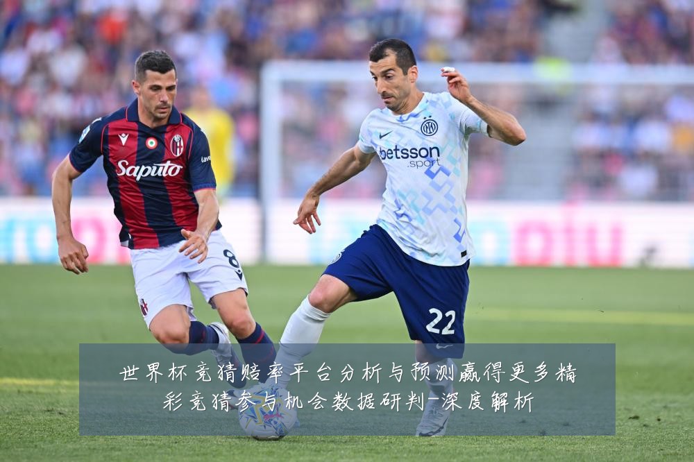 世界杯竞猜赔率平台分析与预测赢得更多精彩竞猜参与机会数据研判-深度解析