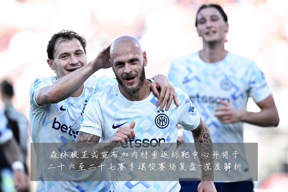 森林狼正式宣布加内特重返标靶中心并将于二十六至二十七赛季退役赛场复盘-深度解析